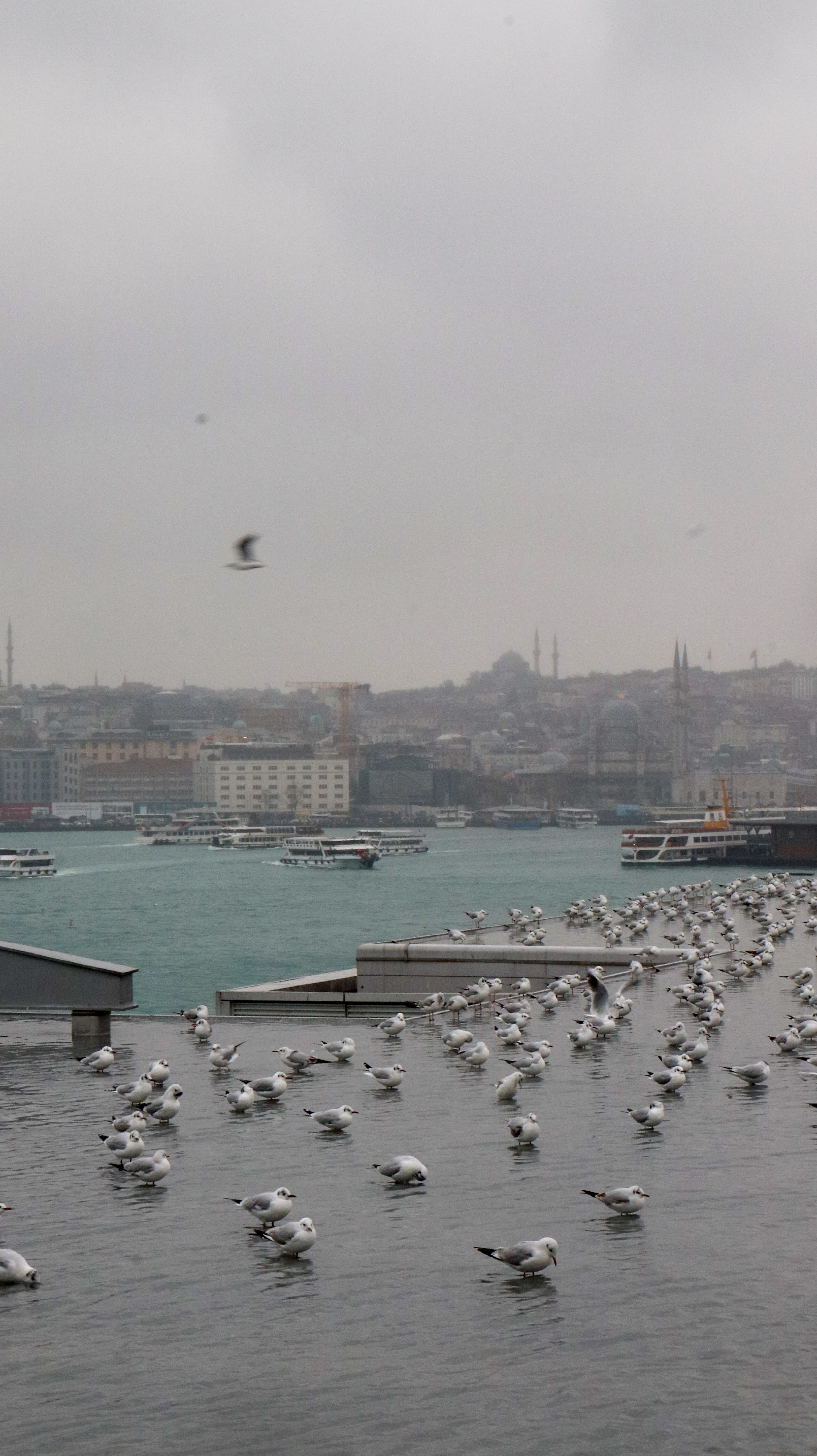 Istanbul