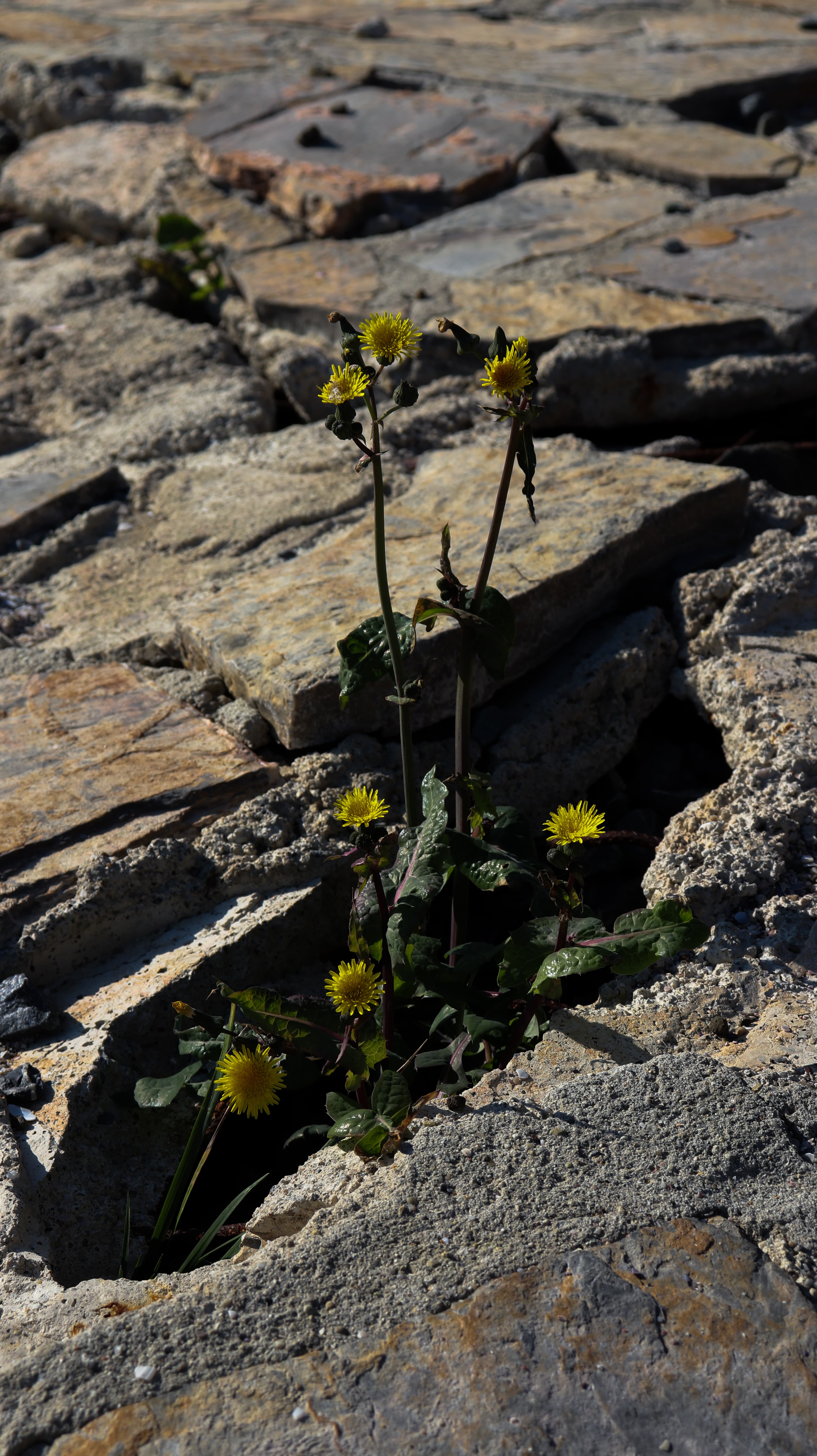 Layers of Time — 9 of 16
