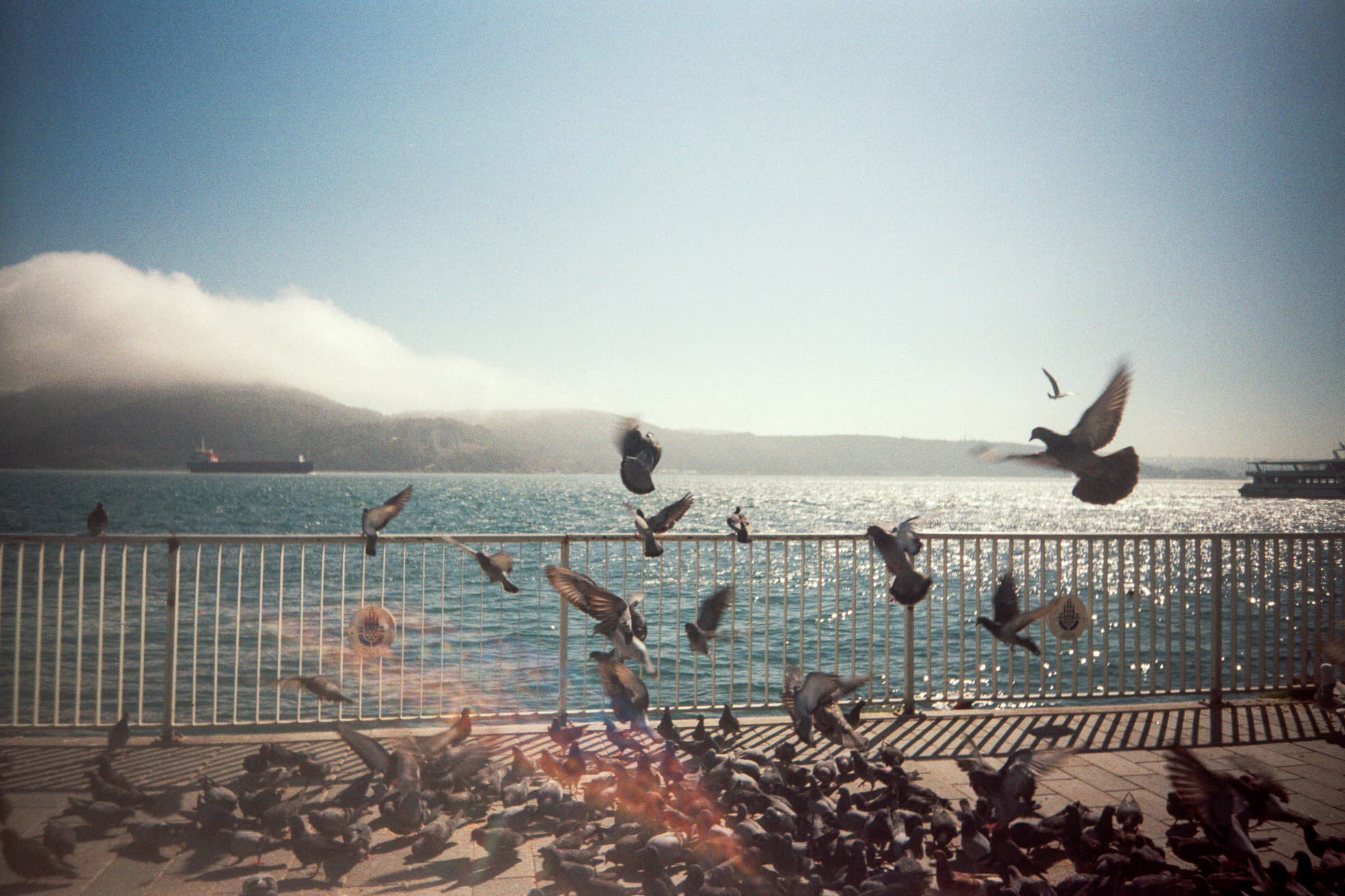 Istanbul — 6 of 7